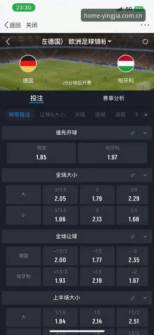 盈嘉体育手机版下载决策指南：从赛事数据到实时赔率的选择逻辑